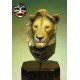 Buste de Lion