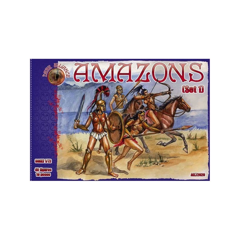 Dark Alliance Amazons set 1 1/72(40)