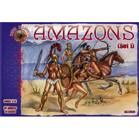 Dark Alliance Amazons set 1 1/72(40)