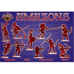 Dark Alliance Amazons set 1 1/72(40)