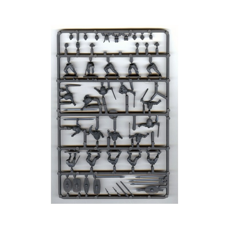 grappe Guerriers celtes (10)