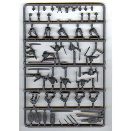 grappe Guerriers celtes (10)